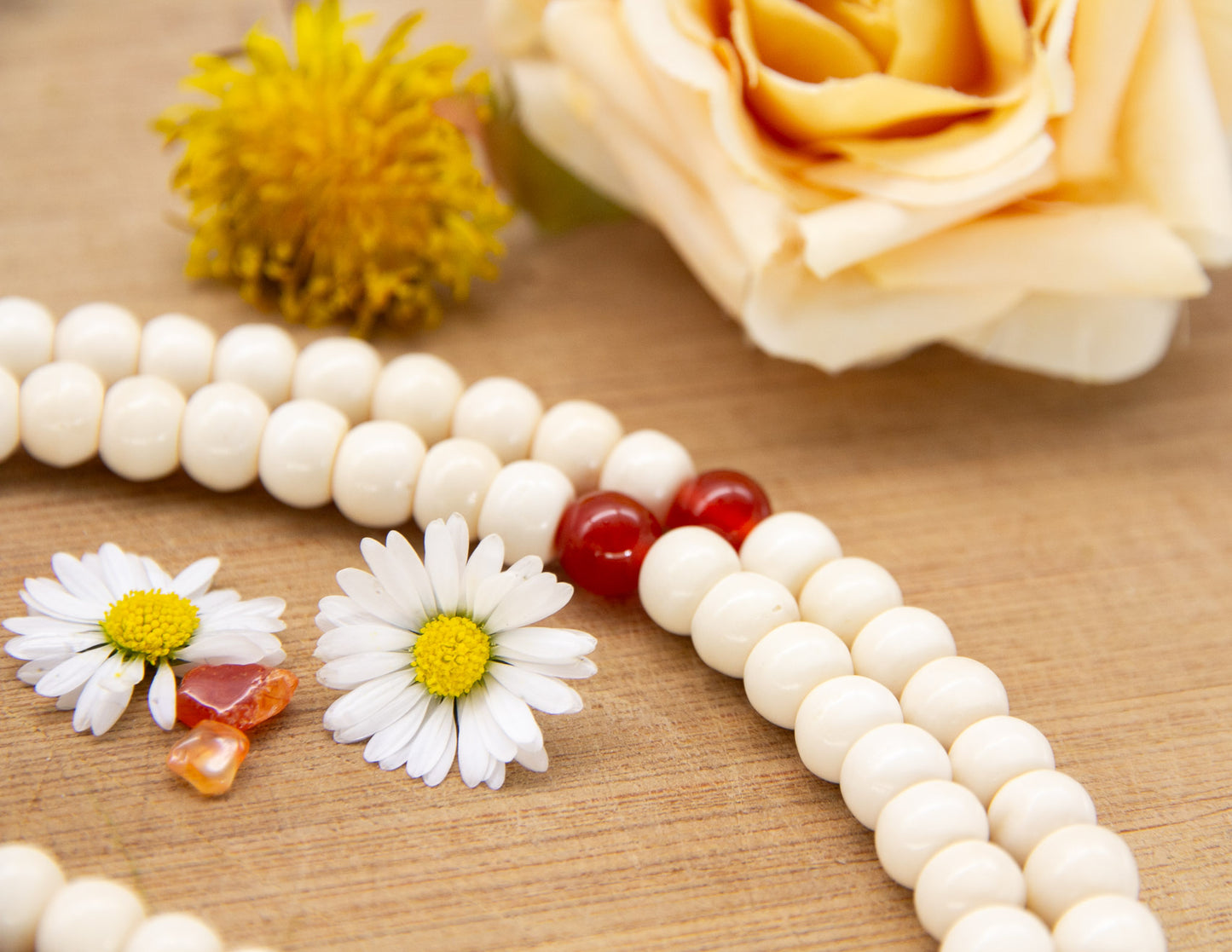 Knochen & Karneol Mala – 8mm
