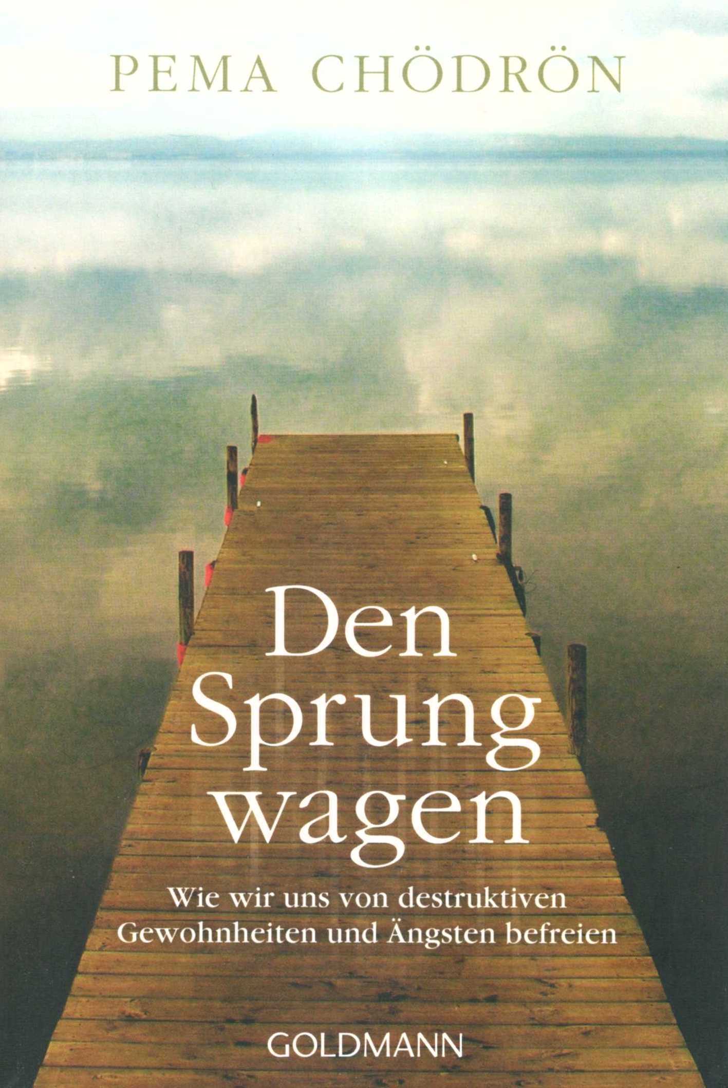 Den Sprungwagen