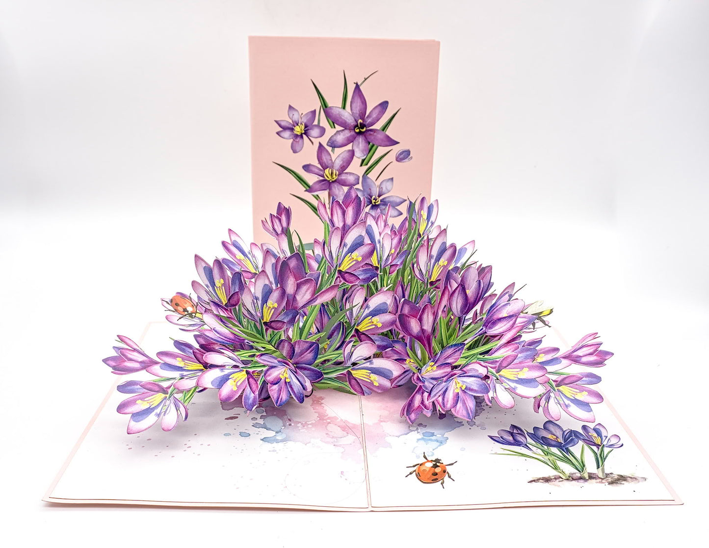 Vietnamesische Pop-Up-Karten