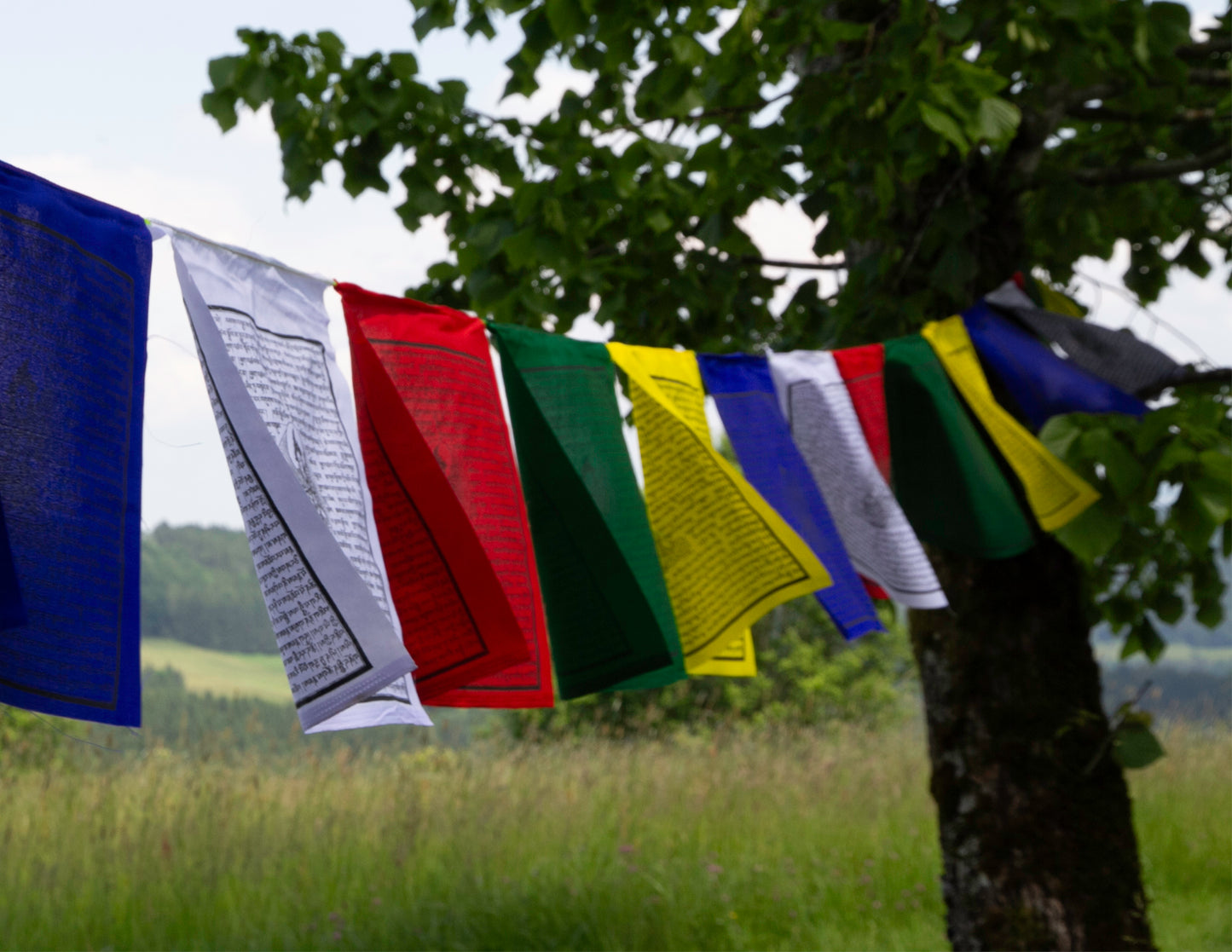 Large Guru Rinpoche Prayer Flag, 32x34cm, 8.2m