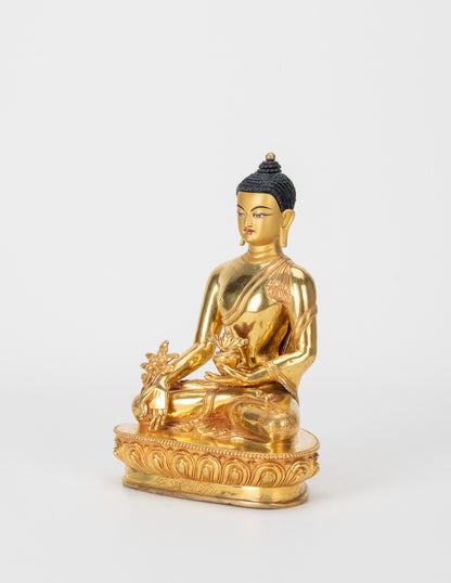 Medicine Buddha VI