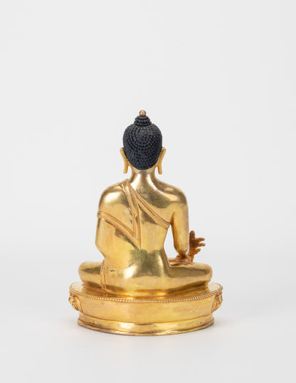 Medicine Buddha VI