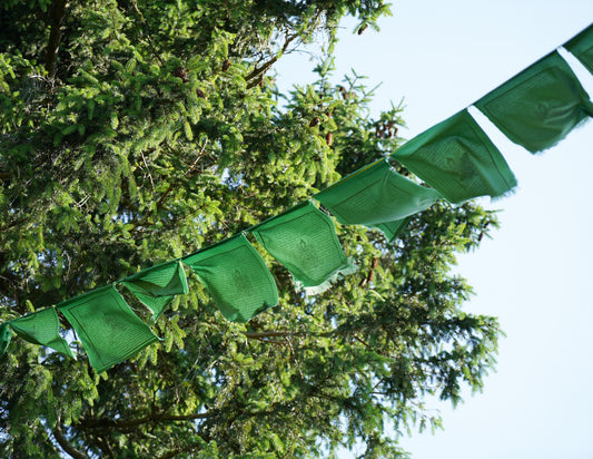 Grands drapeaux de prière Tara verts, 33 x 33 cm, 9,5 m